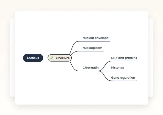 2 - AI Generates Your Mind map